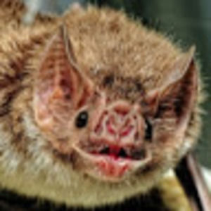 Meet your Posher, Camille